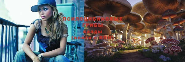 кокаин Анжеро-Судженск