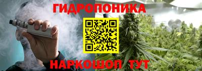 ГАЛЛЮЦИНОГЕННЫЕ ГРИБЫ Кандалакша