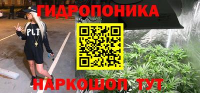 СК Канаш