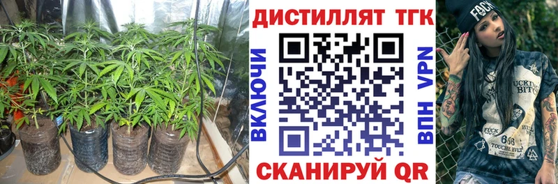 купить   Югорск  Дистиллят ТГК концентрат 
