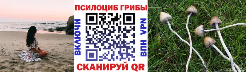 ОМГ ОМГ ссылка Югорск Псилоцибиновые грибы ЛСД