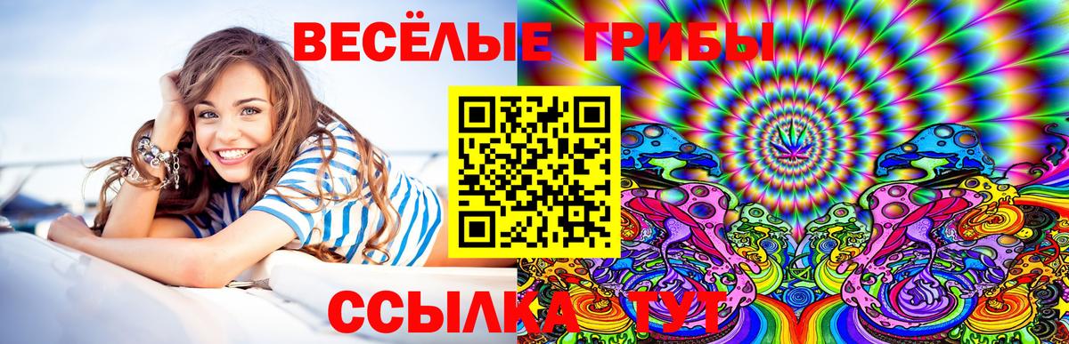 Псилоцибиновые грибы Psilocybe  Вход с VPN  Югорск  Галлюциногенные грибы Magic Shrooms 